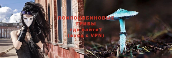 ПСИЛОЦИБИНОВЫЕ ГРИБЫ Армянск