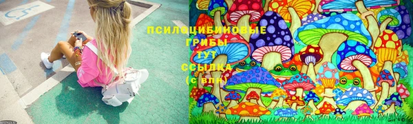 ПСИЛОЦИБИНОВЫЕ ГРИБЫ Армянск