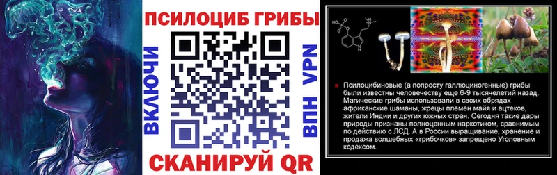 Купить где Болгар Галлюциногенные грибы мицелий
