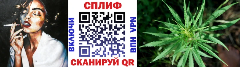 Купить где  Болгар  МАРИХУАНА MAZAR 